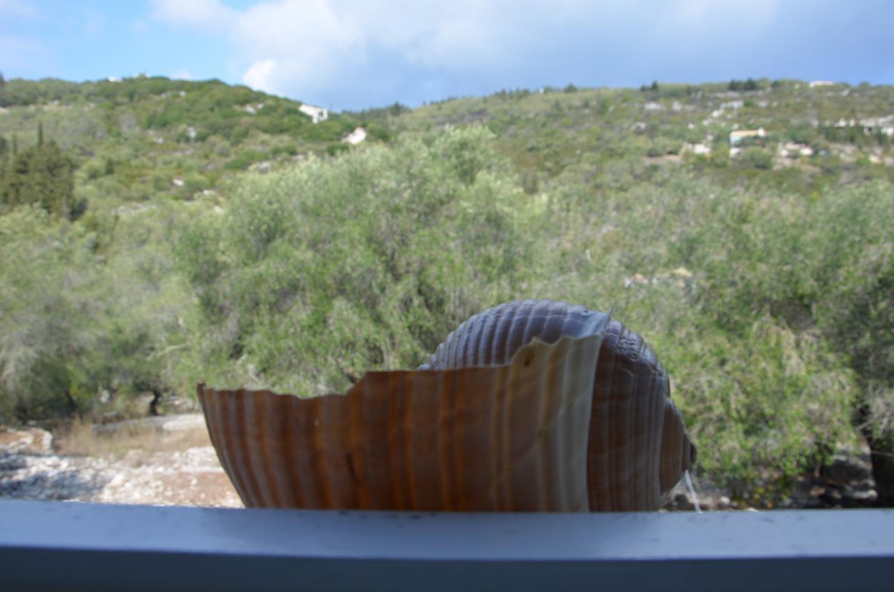 Villa Clementine Gaios Exterior foto